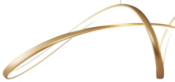 Lustră LED pe cablu Zuma Line 20026P-GD FERMI LED/50W/230V 3000/4000/6000K