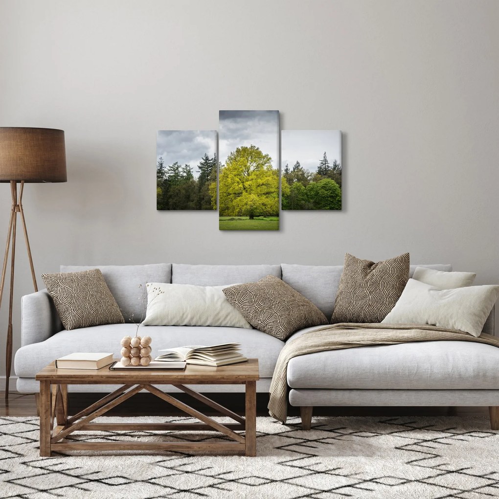 Tablou - Copac verde în câmp (90x60 cm)