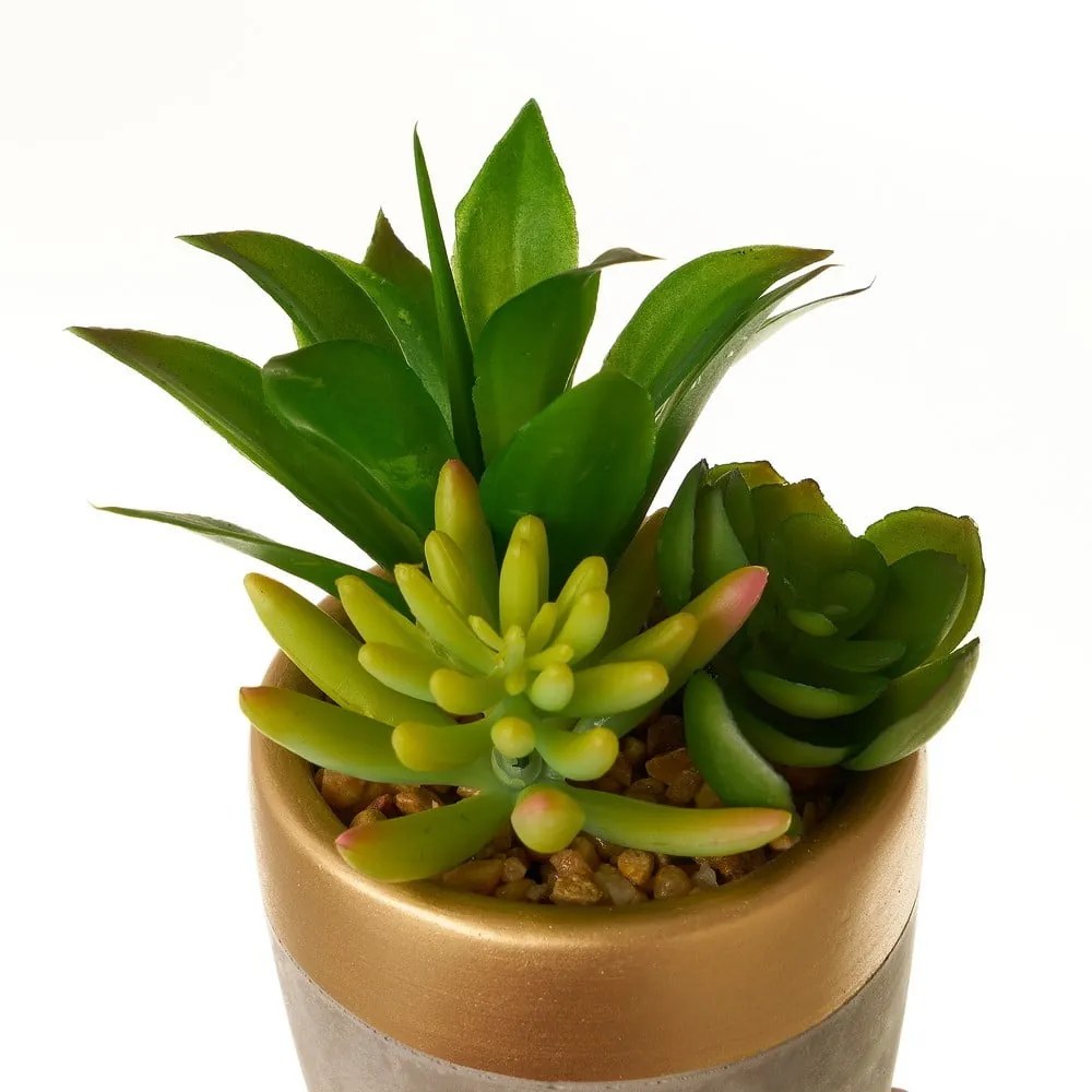 Plante artificiale 4 buc. Cactus – Casa Selección