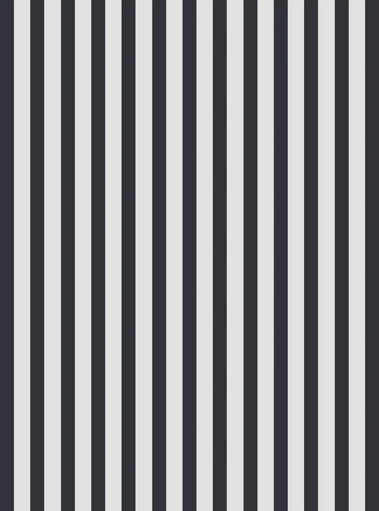 Lenjerie de pat din bumbac MONOLINE negru-alb Dimensiune lenjerie de pat: 70 x 80 cm | 140 x 200 cm