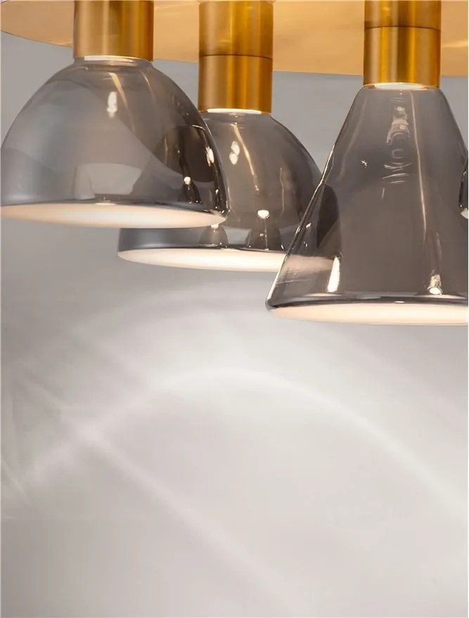 Plafoniera cu 5 spoturi LED, Metal, Sticla, Fumuriu, Voi