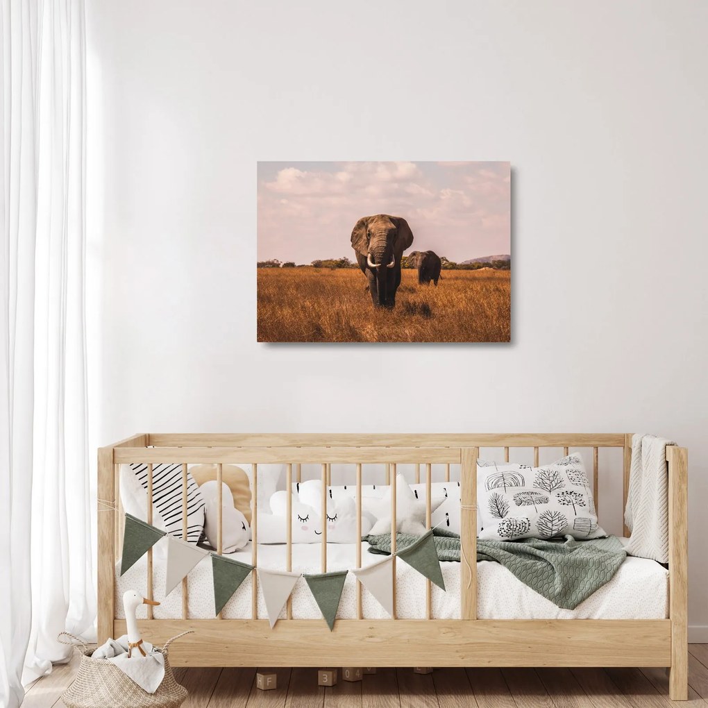 Tablou pe sticlă - Venirea elefantului (70x50 cm)