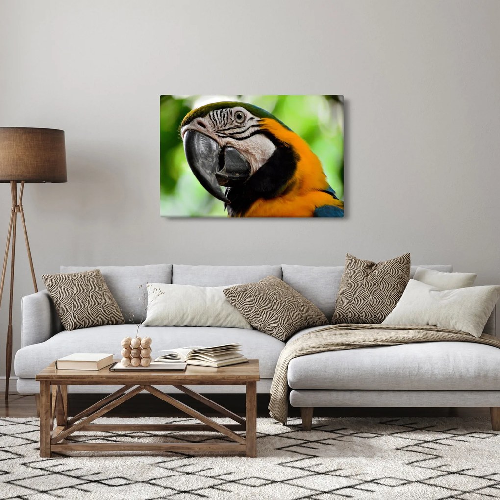 Tablou cu papagal (90x60 cm)