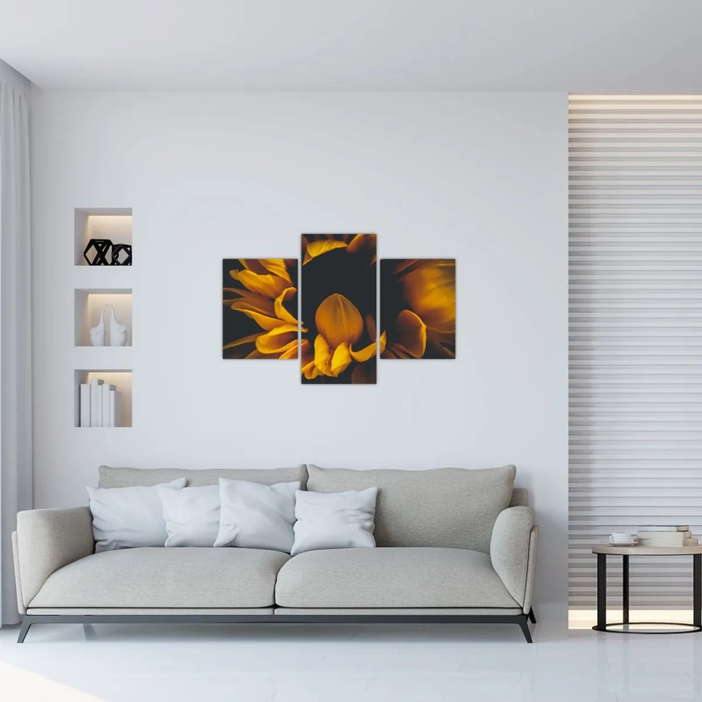 Tablou - Floarea-soarelui în fundal negru (90x60 cm)