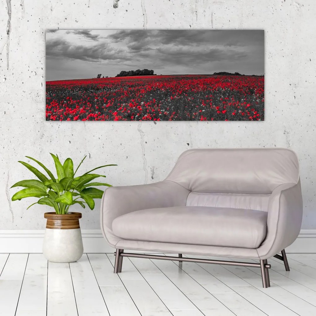 Tablou cu maci (120x50 cm)