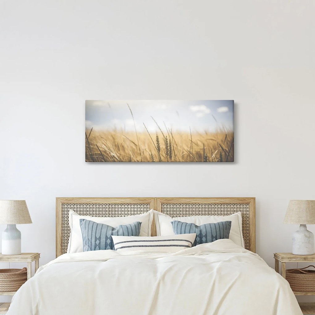 Tablou cu grâne (120x50 cm)