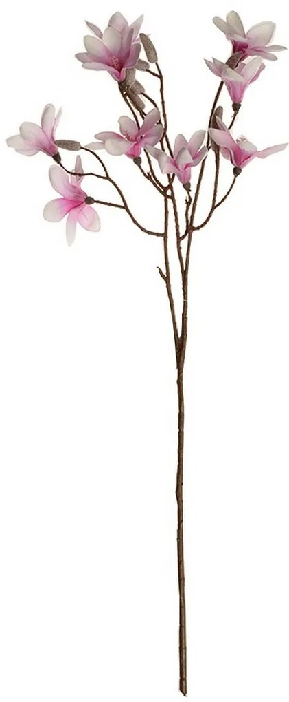 Magnolie ramură violetă înălțime 70 cm. 9 flori șiboboci
