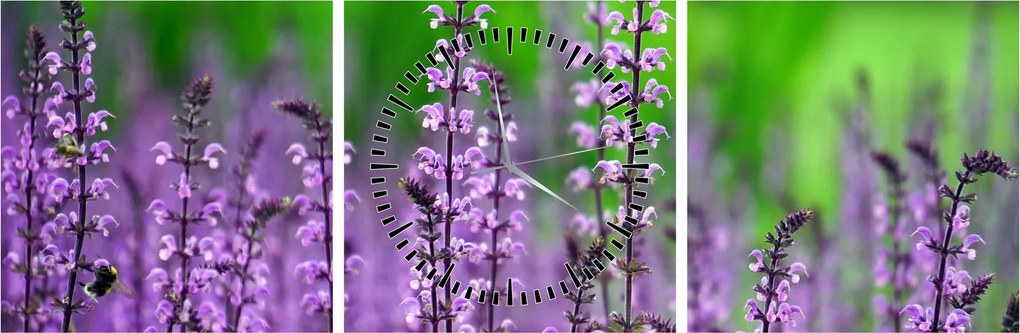 Tablou cu flori de luncă violete (cu ceas) (90x30 cm)