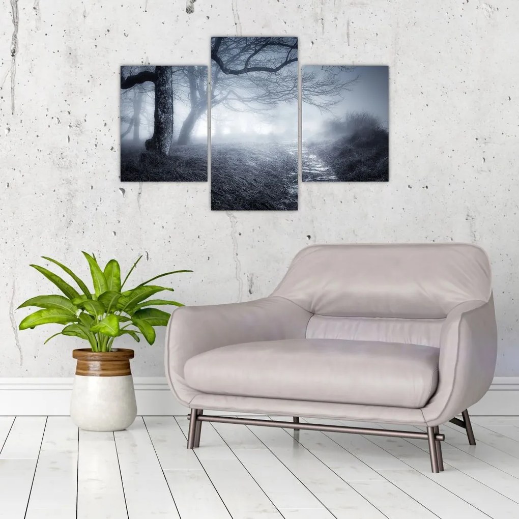 Tablou - Drum pin ceață (90x60 cm)