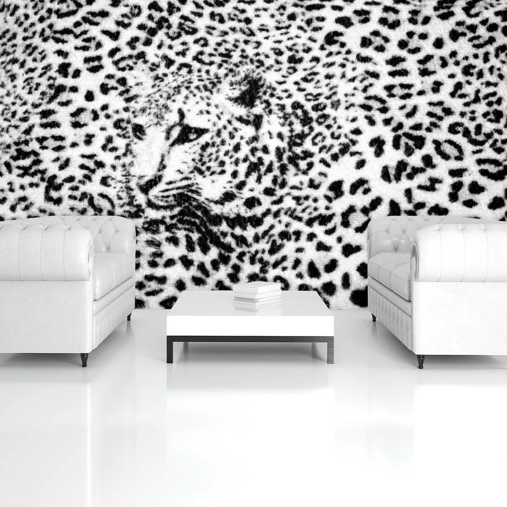 Fototapet - Albnegru gepard (254x184 cm), în 8 de alte dimensiuni noi