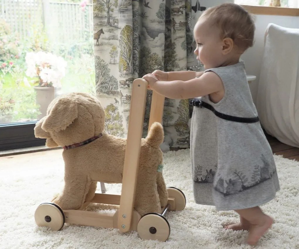 Little Bird Told Me - Dexter Dog Walker, Push Along  Ride On Toy pentru copii de peste 1 an, Golden Labrador Caine Pufos pentru copii mici, Cadru robust din lemn, Scaun captusit
