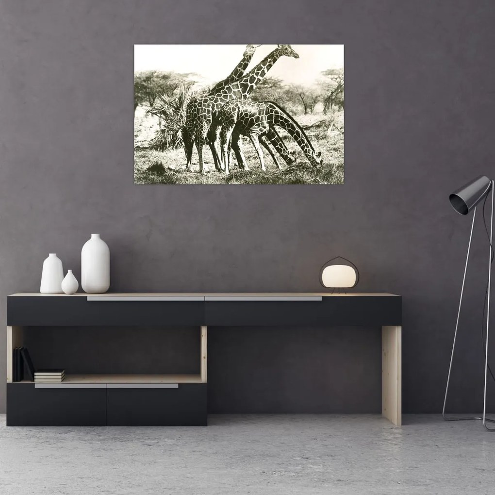 Tablou - Girafe, de epocă (90x60 cm)