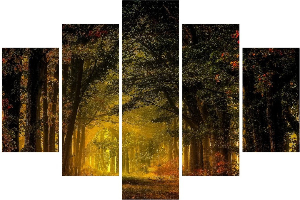 Tablou cu pădure (150x105 cm)