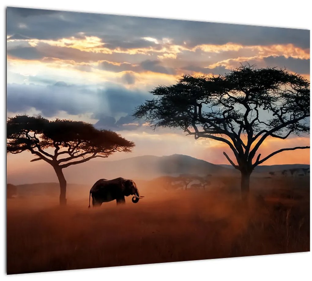 Tablou pe sticlă - Parcul Național Serengeti, Tanzania, Africa (70x50 cm)