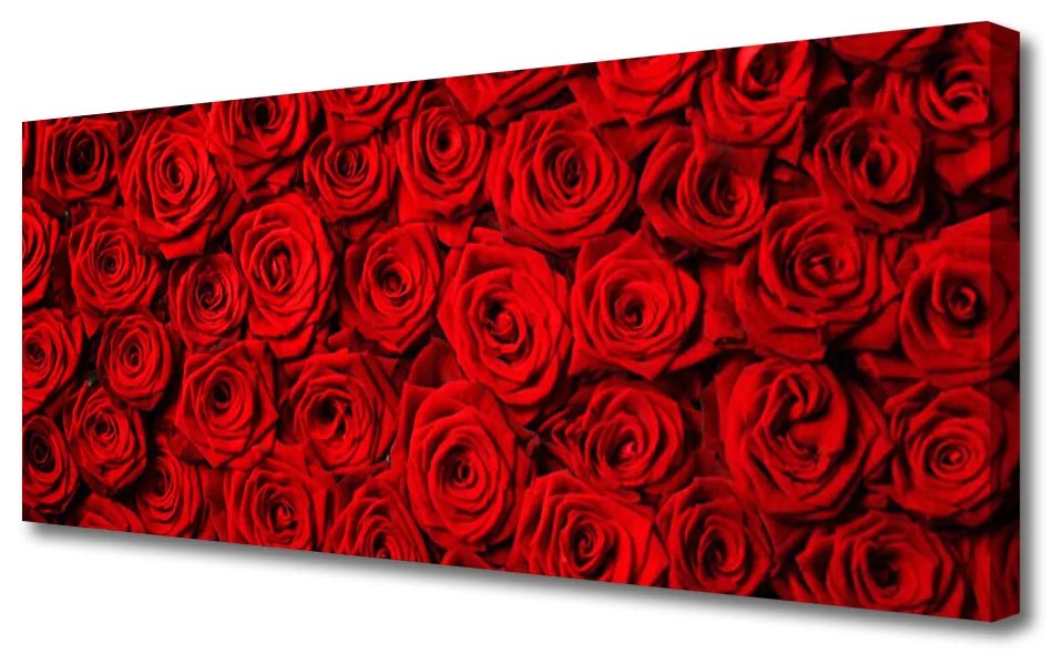 Tablou pe panza canvas Trandafiri Floral Roșu Verde Alb