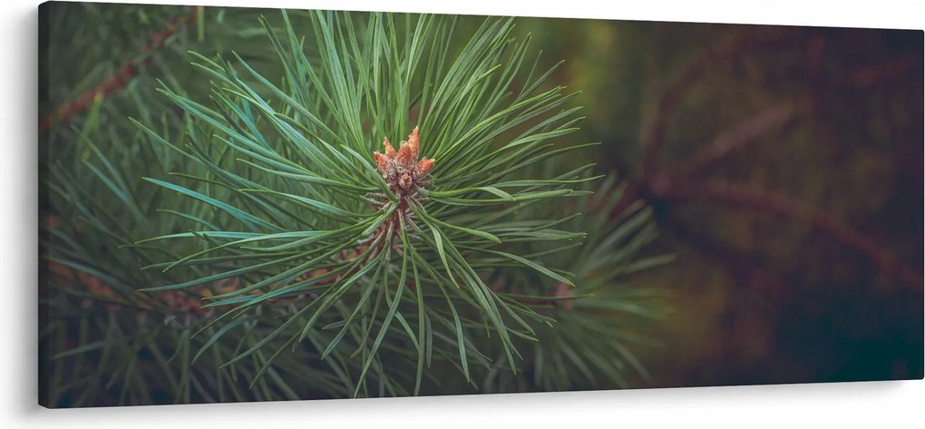 Tablou - Pin (120x50 cm)
