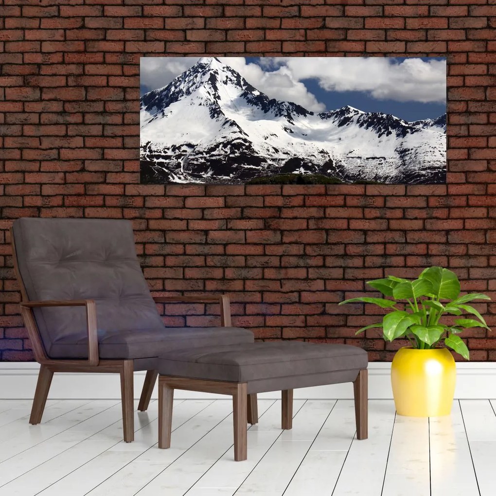 Tablou - Parcul Național Kenai Fjords (120x50 cm)