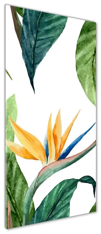 Tablou sticlă acrilică Strelitzia reginae