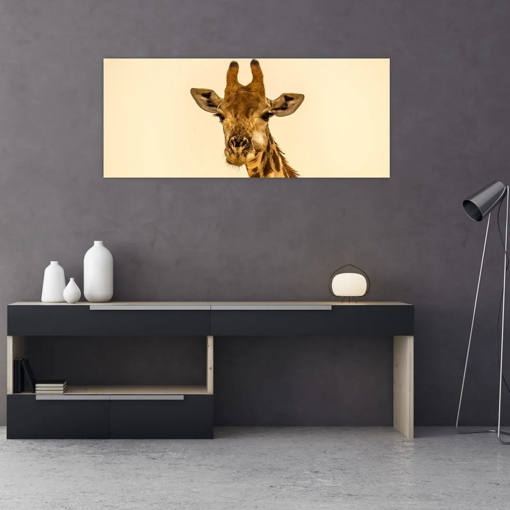 Tablou cu girafe (120x50 cm)