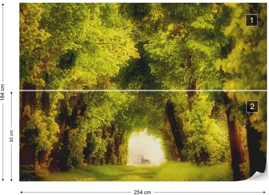 Fototapet GLIX - Spring Time + adeziv GRATUIT Tapet nețesute - 254x184 cm