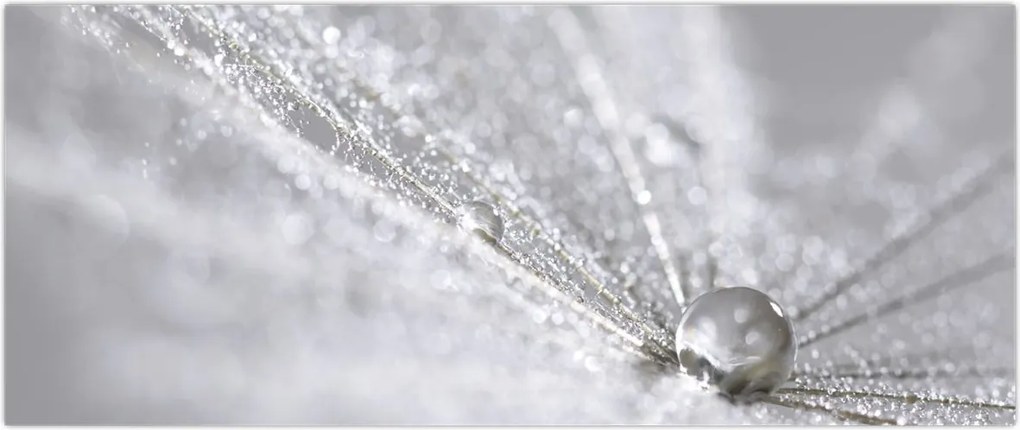 Tablou - Picătură de apă (120x50 cm)