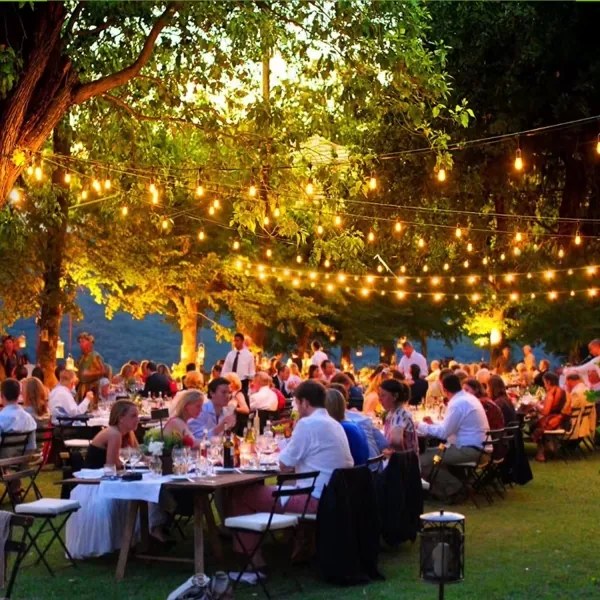 LED șir decorativ exterior 20xE27/1W/230V 10 m IP65 negru