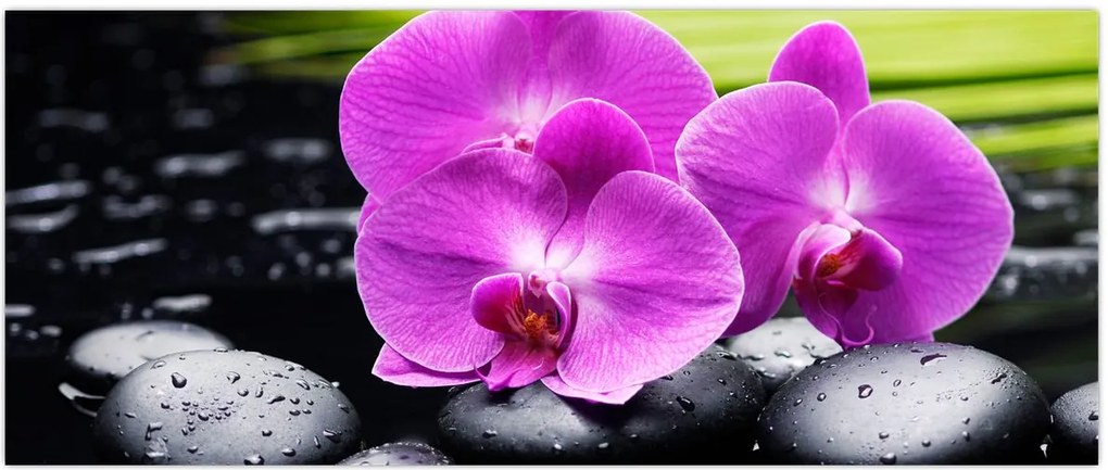 Tablou - Orhidee (120x50 cm)
