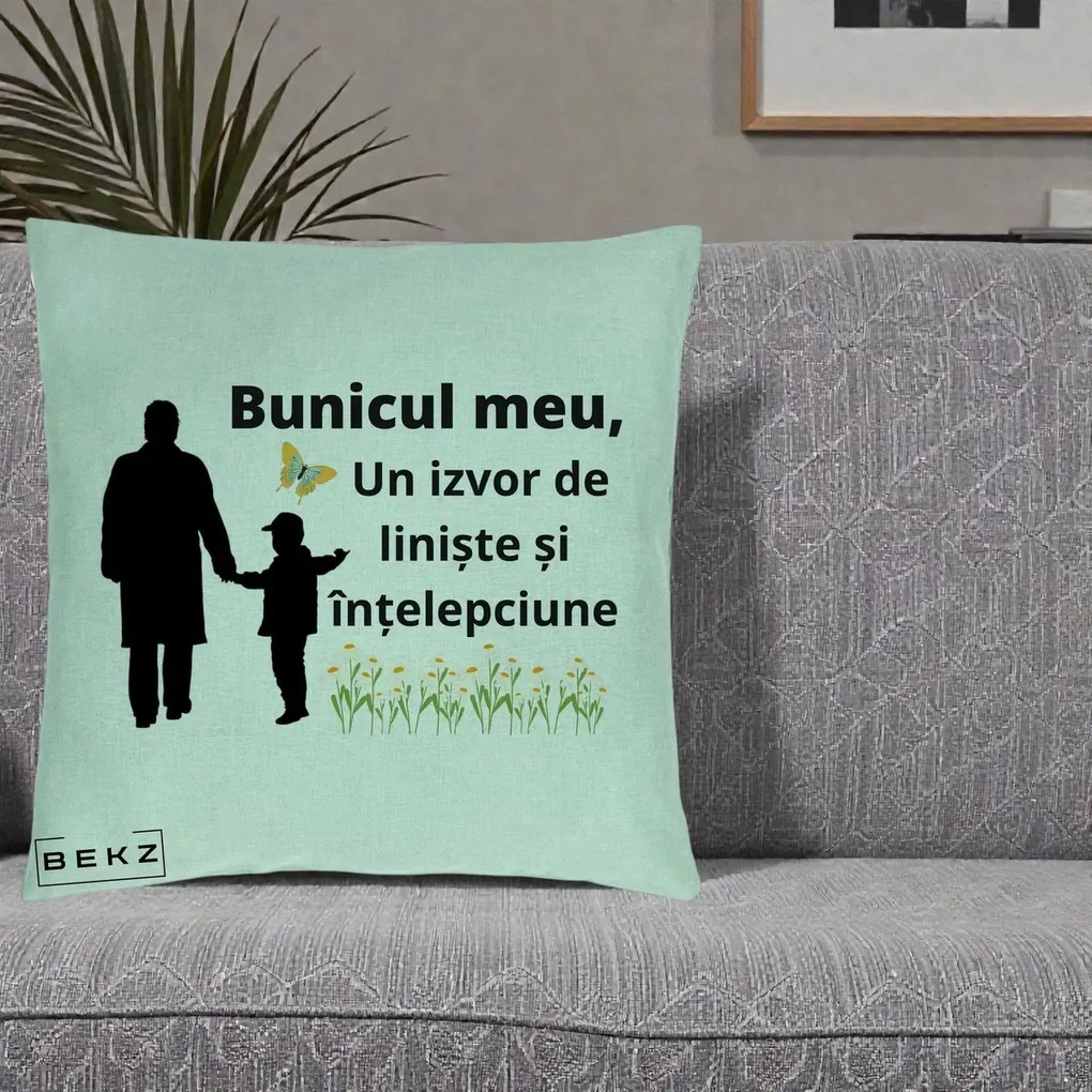 Cadou pentru Bunic - Perna Personalizata Bunicul Meu Izvor de Liniste cu Fluture si Baietel, 40x40 cm, Verde Menta, Husa Detasabila, Perna Inclusa, BEKZ®