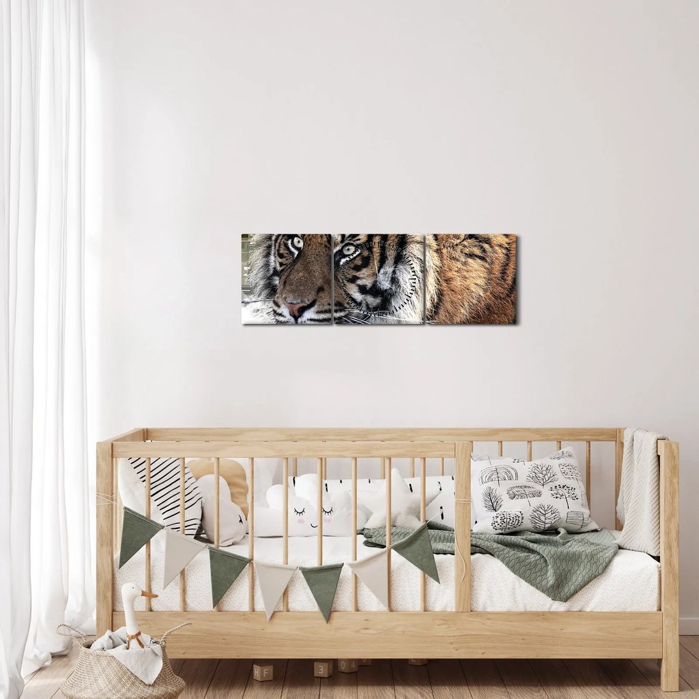 Tablou cu tigrul (cu ceas) (90x30 cm)