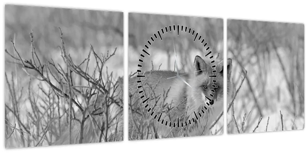 Tablou - Vulpe,alb-negru (cu ceas) (90x30 cm)