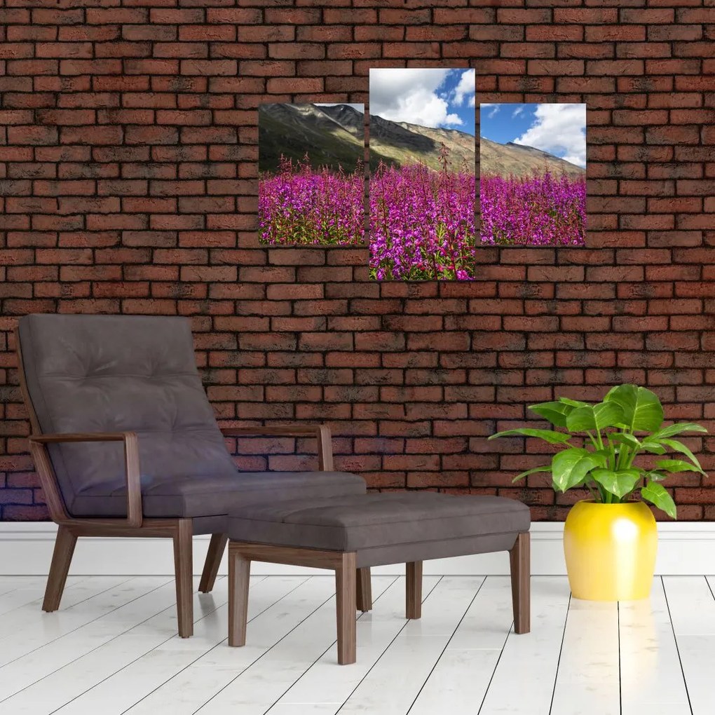 Tablou sceneriei cu lunca montană (90x60 cm)