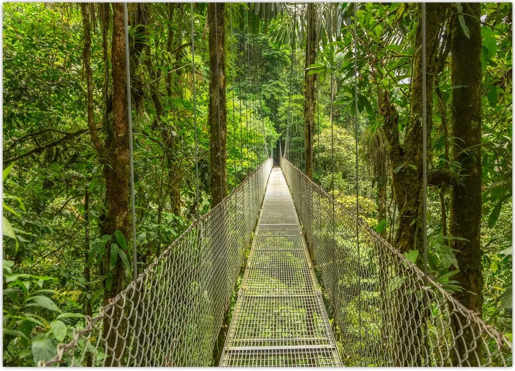 Tablou - Pod suspendat (70x50 cm)