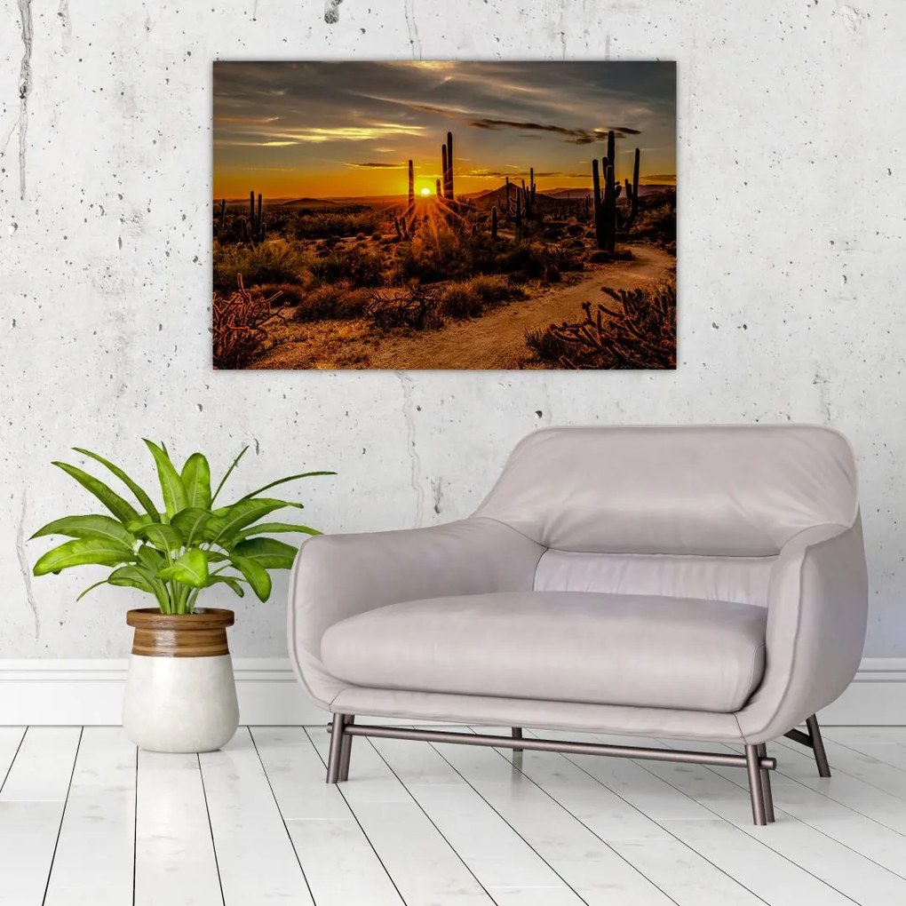 Tablou - Sfărșit de zi în deșertul Arizona (90x60 cm)