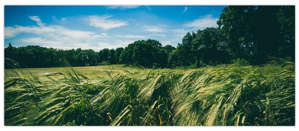 Tablou cu linca și pădure (120x50 cm)