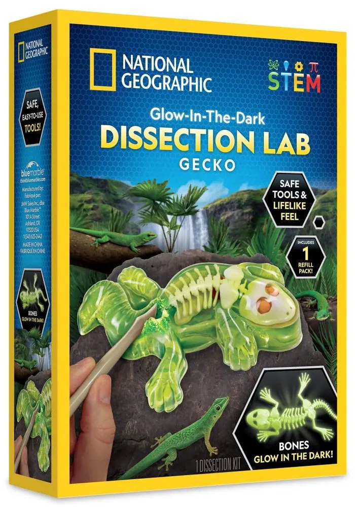 NATIONAL GEOGRAPHIC - KIT CREATIV LABORATOR DE DISECTIE SOPARLA - NATIONAL GEOGRAPHIC (NG23036)