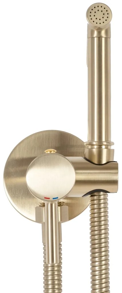 Baterie bideu Lungo Loop Gold Brush