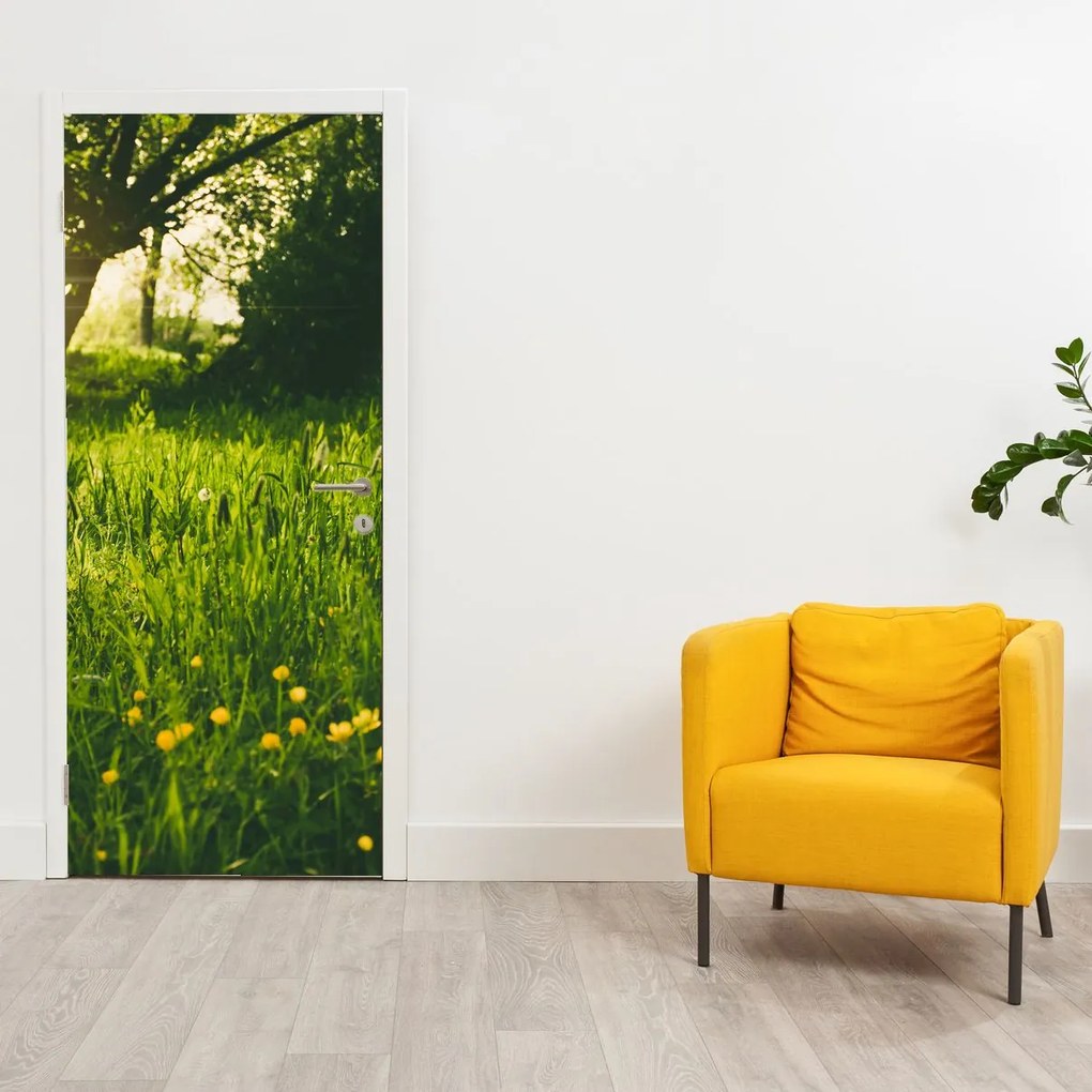 Fototapet pentru ușă - Luncă (95x205cm)