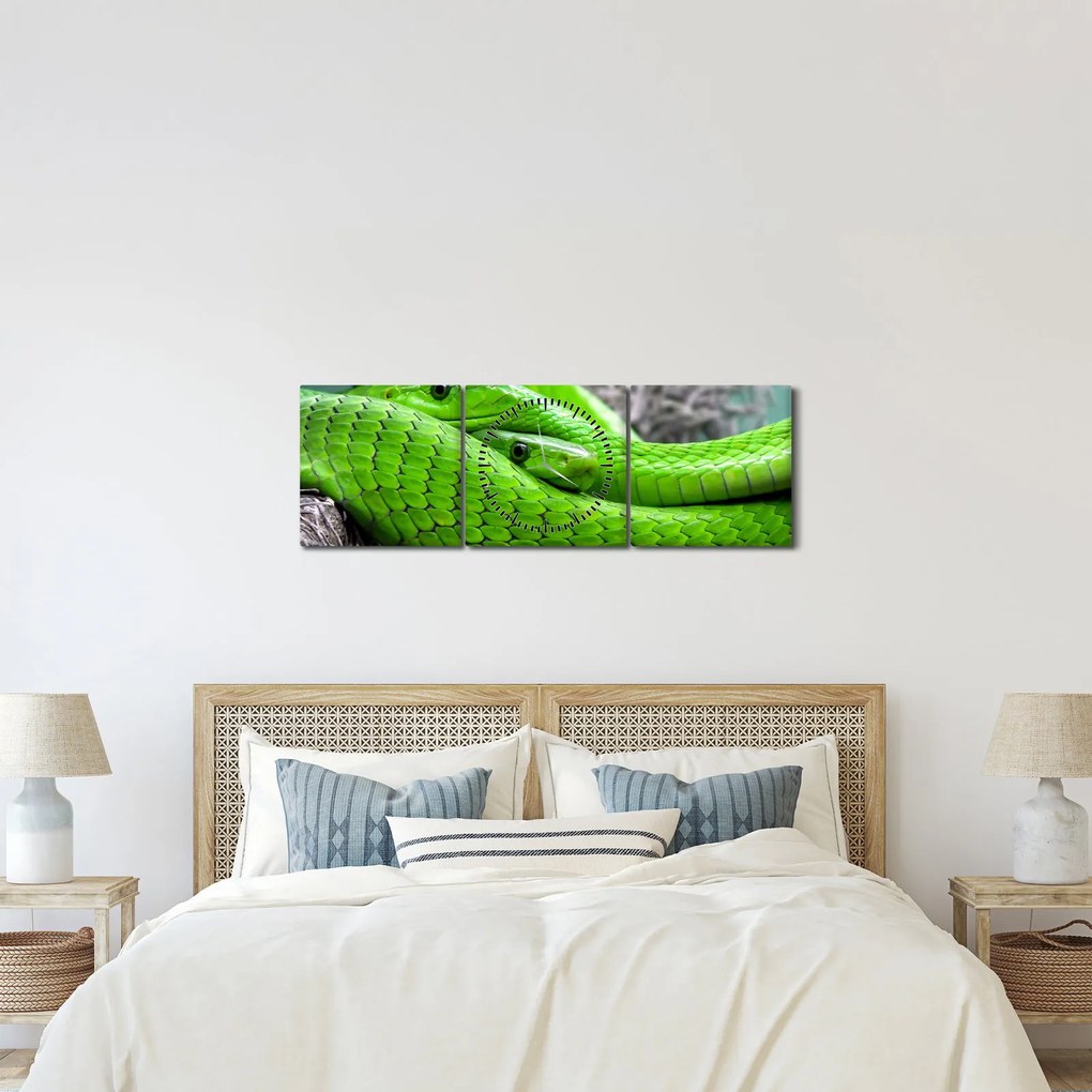 Tablou cu șerpi verzi (cu ceas) (90x30 cm)