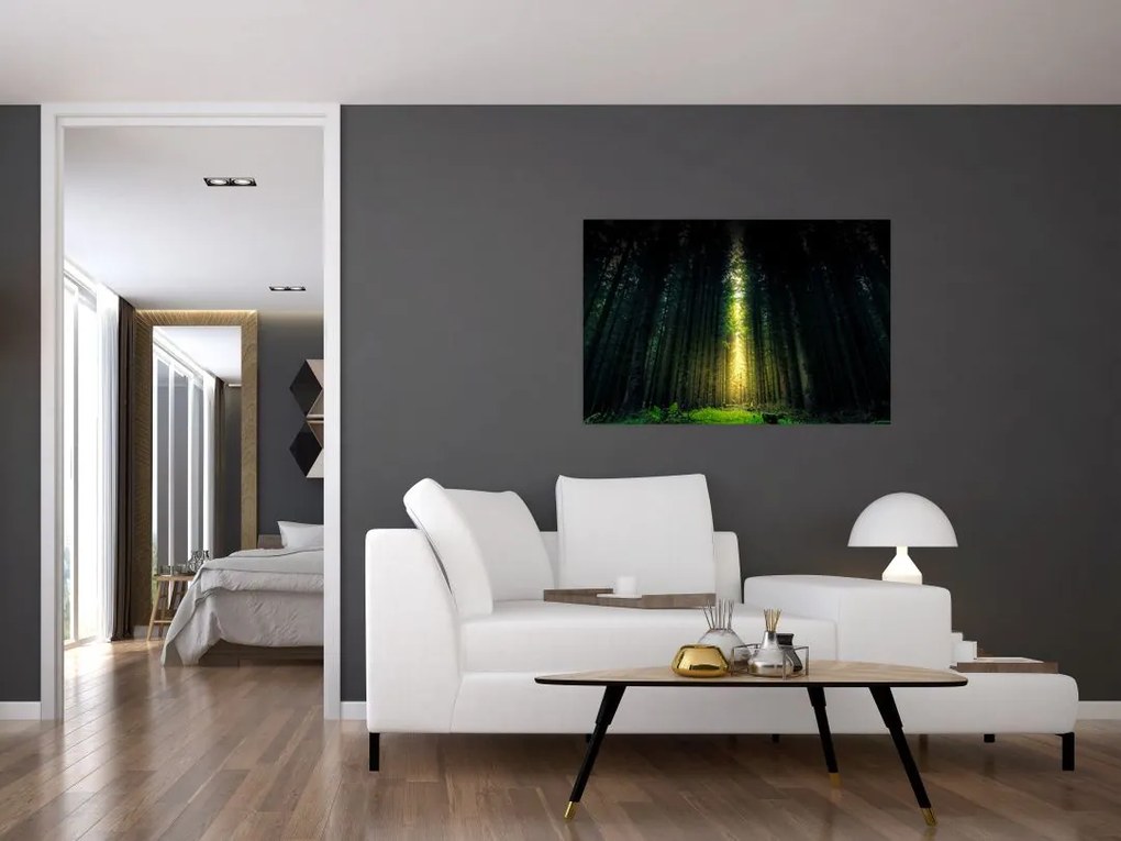Tablou cu pădurea întunecată (90x60 cm)