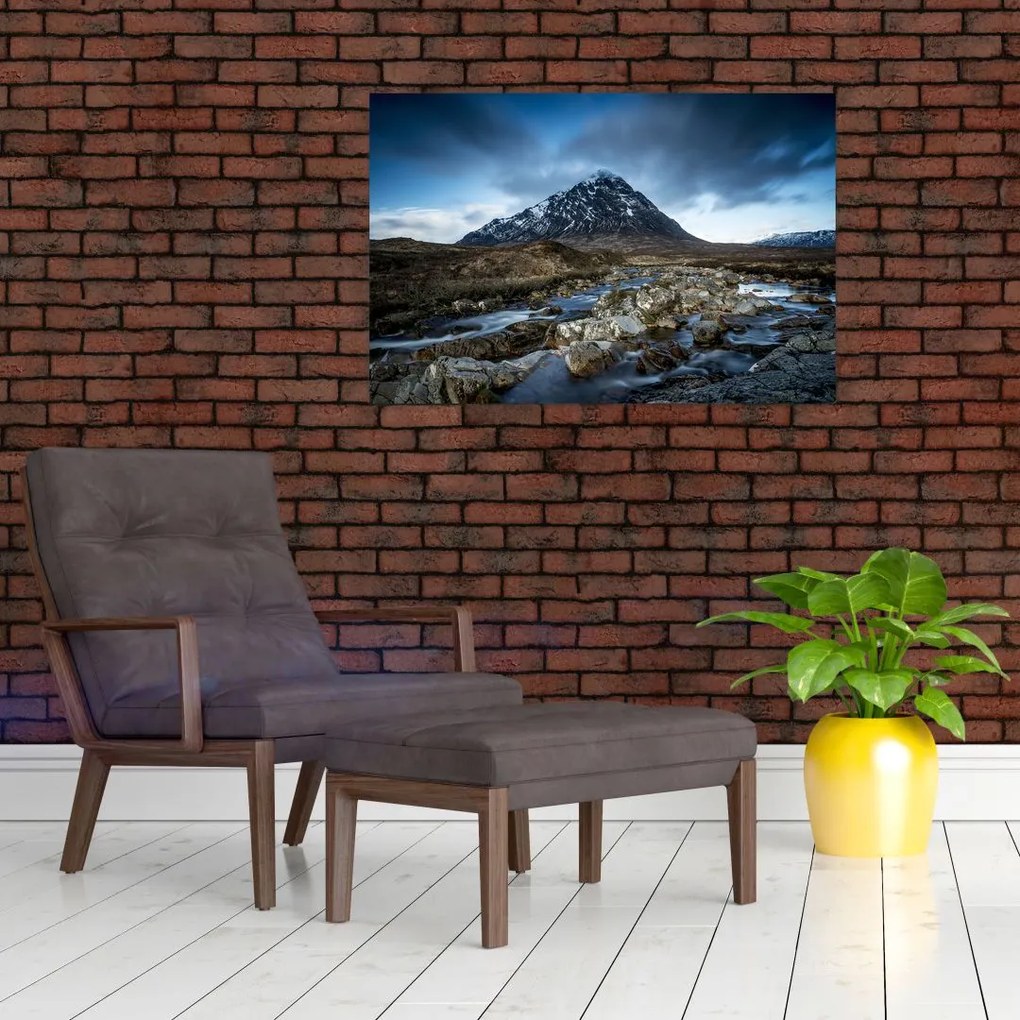 Tablou cu munții și tigrul (90x60 cm)
