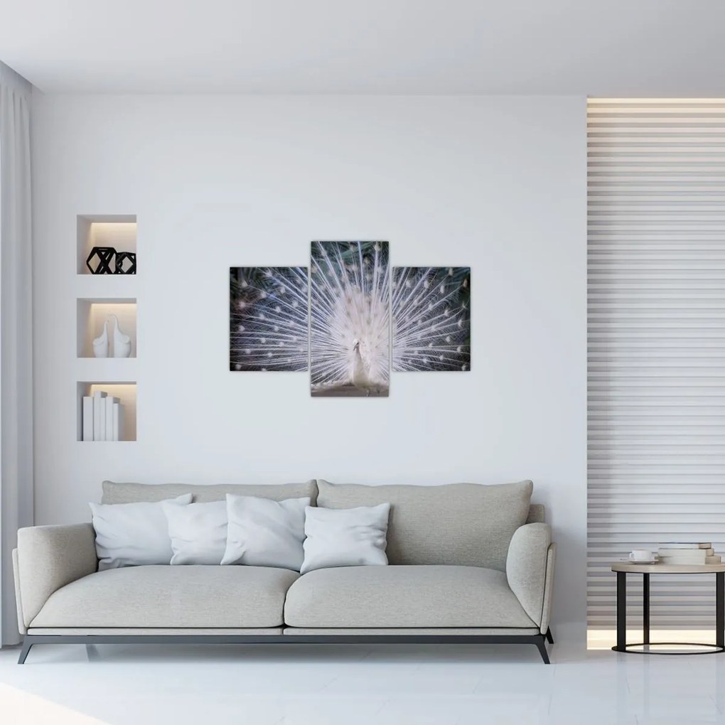 Tablou - Păun alb (90x60 cm)