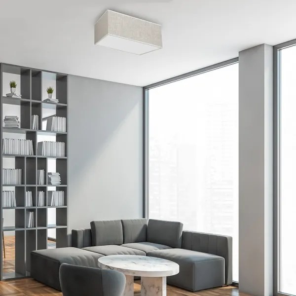 Plafonieră LINO 2xE27/60W/230V