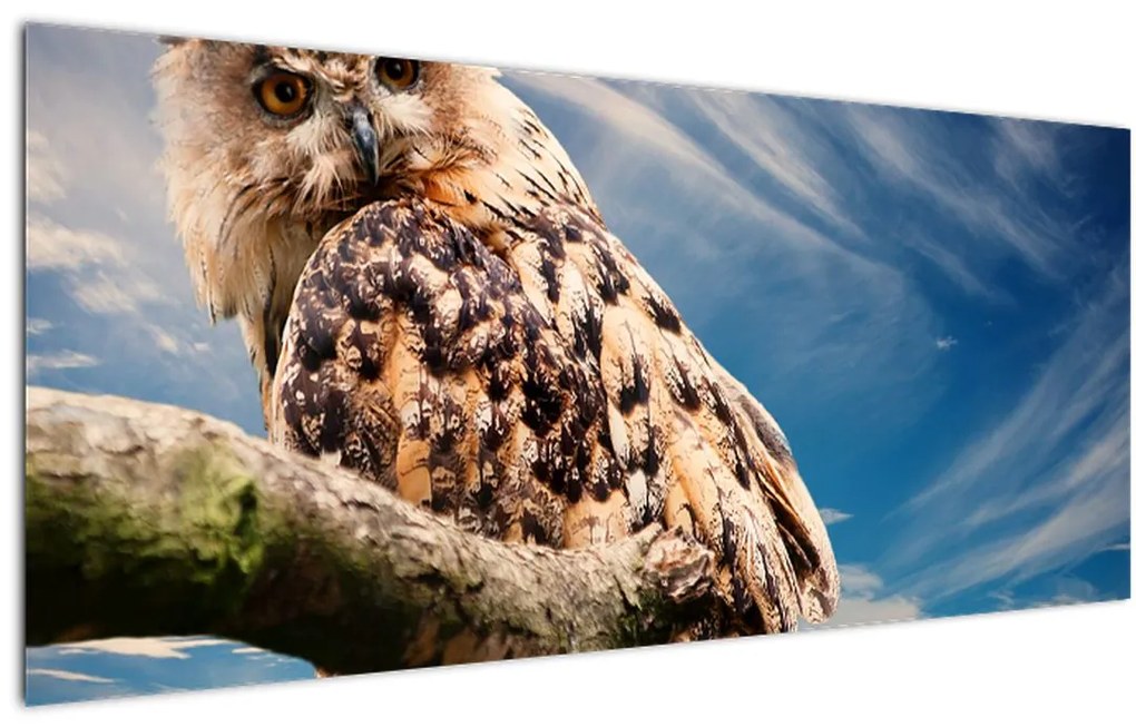 Tablou cu bufnița (120x50 cm)