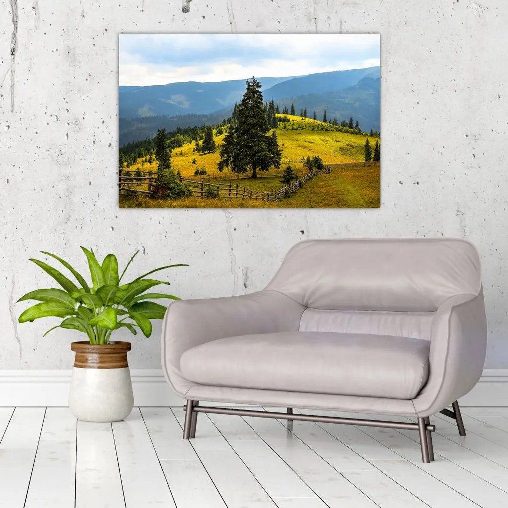 Tablou - Lunca de munte (90x60 cm)
