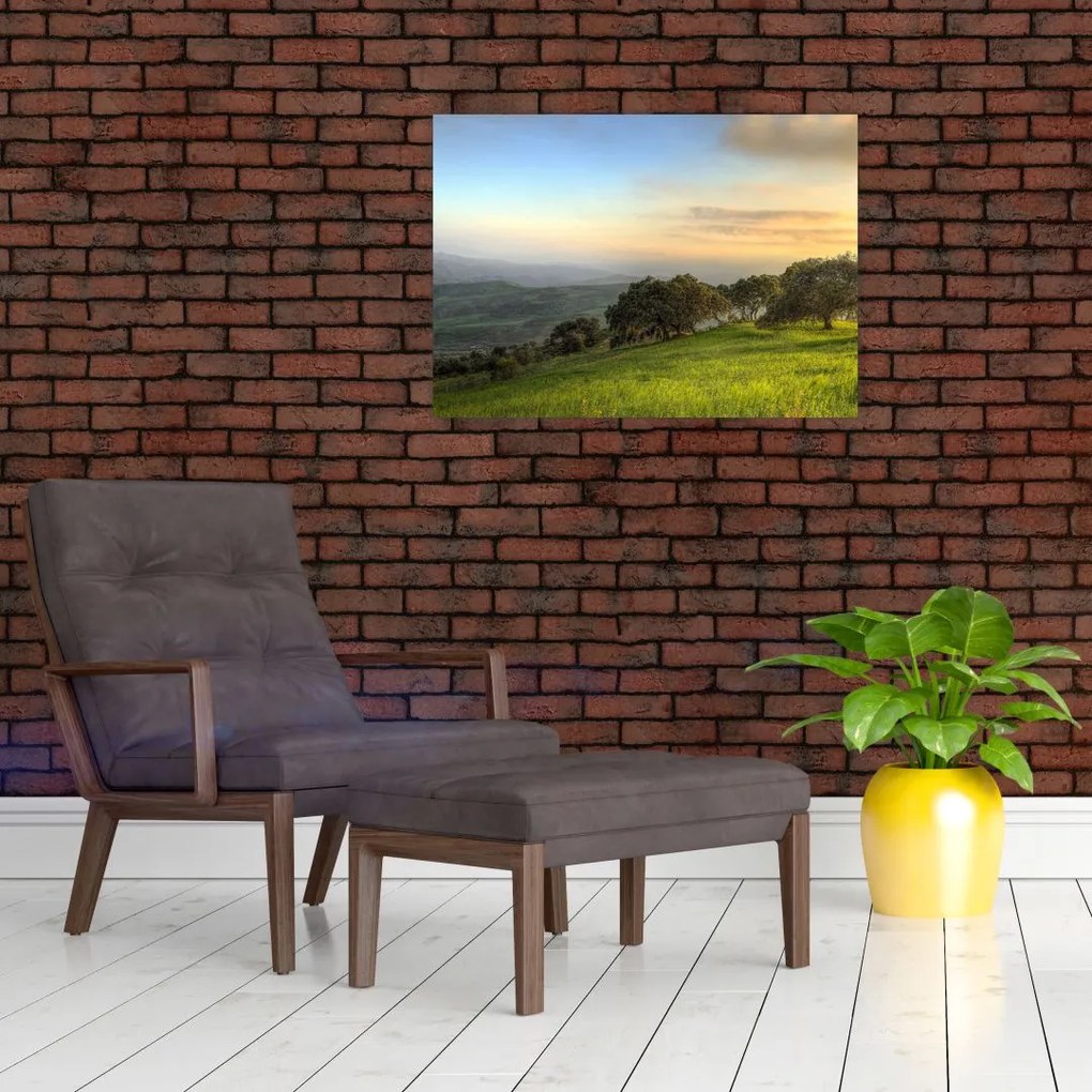 Tablou - Privire de pe deal (70x50 cm)