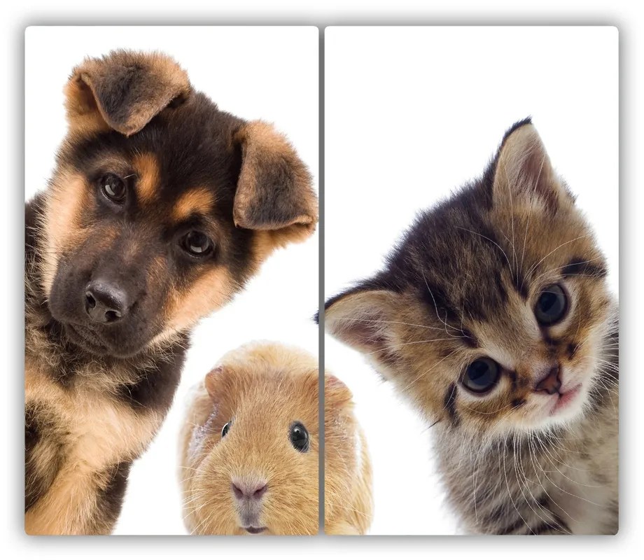 Tocator din sticla Animale de companie
