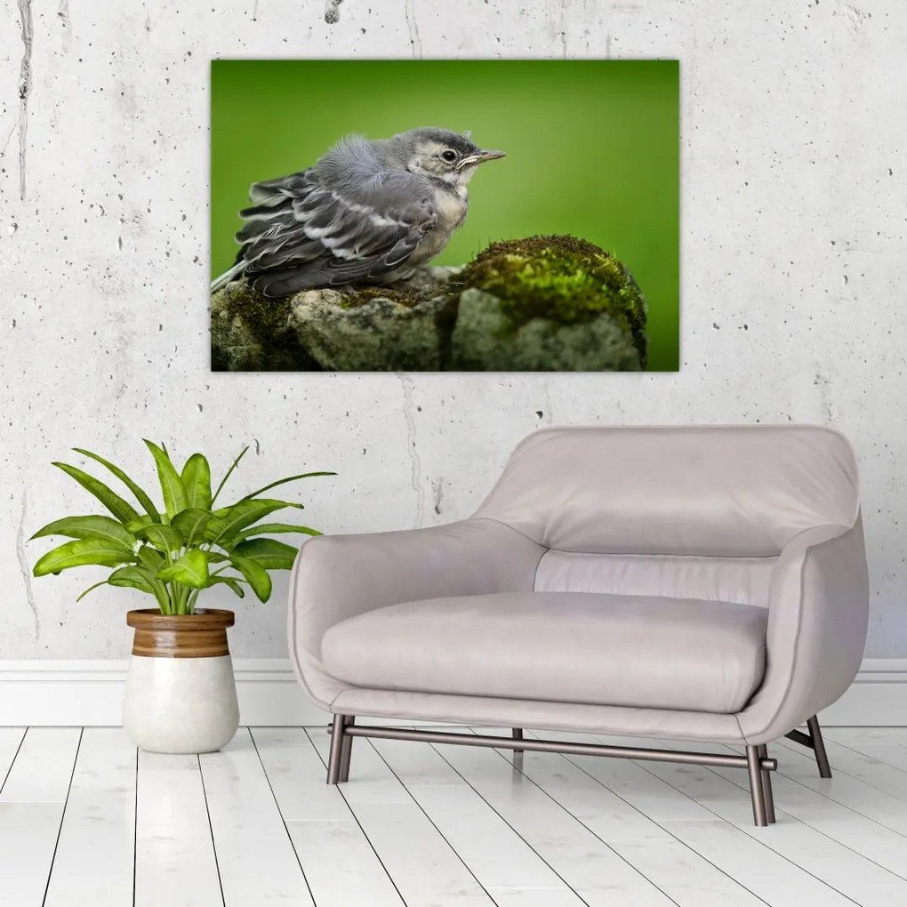 Tablou - Muscarul (90x60 cm)