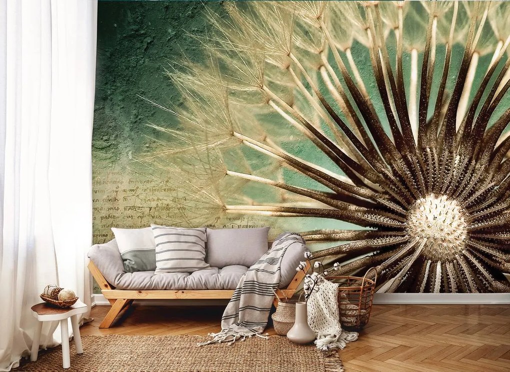 Fototapet - Păpădie (152,5x104 cm)