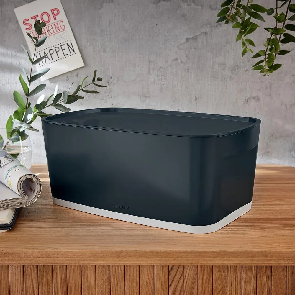 Cutie de depozitare cu capac MyBox – Leitz