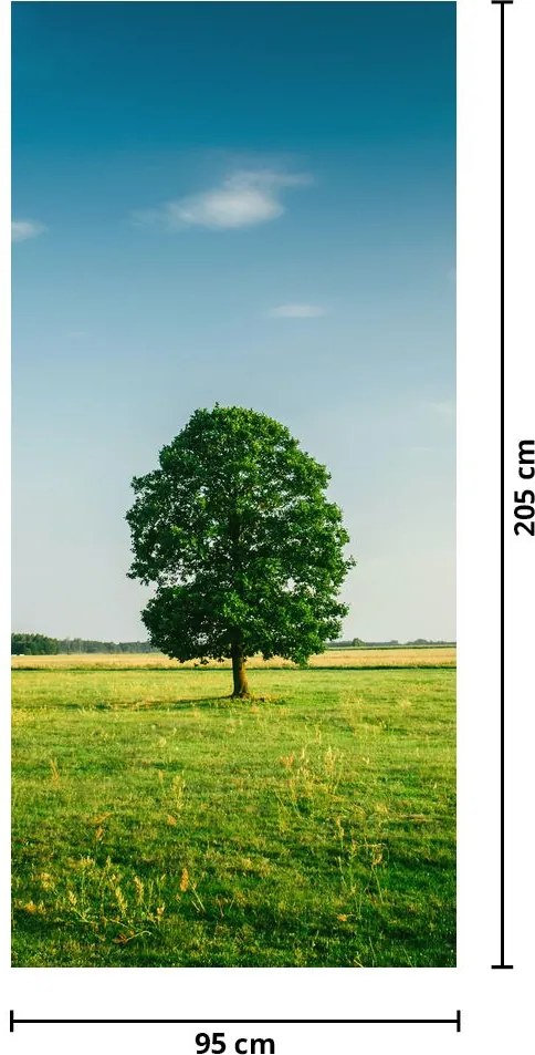 Fototapet pentru ușă - Copac în luncă (95x205cm)
